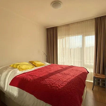 Amstel Beachhouse Egmond Aan Zee, 50m From The Beach! 公寓